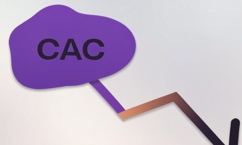 Lower CAC without buying more leads with Perch Insights